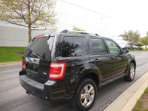 2011 Ford Escape Limited