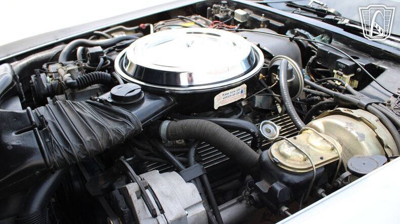 1981 Chevrolet Corvette