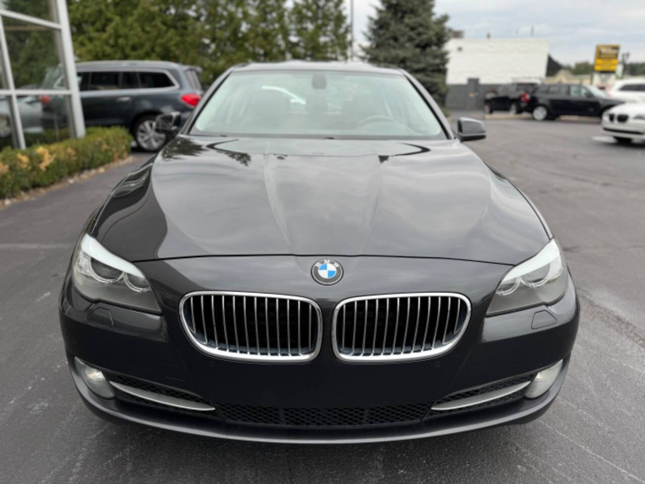 2011 BMW 5 Series for sale at Opus Motorcars in Utica, MI