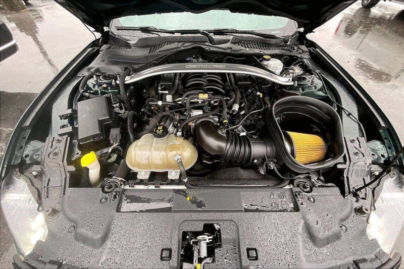 2019 Ford Mustang BULLITT