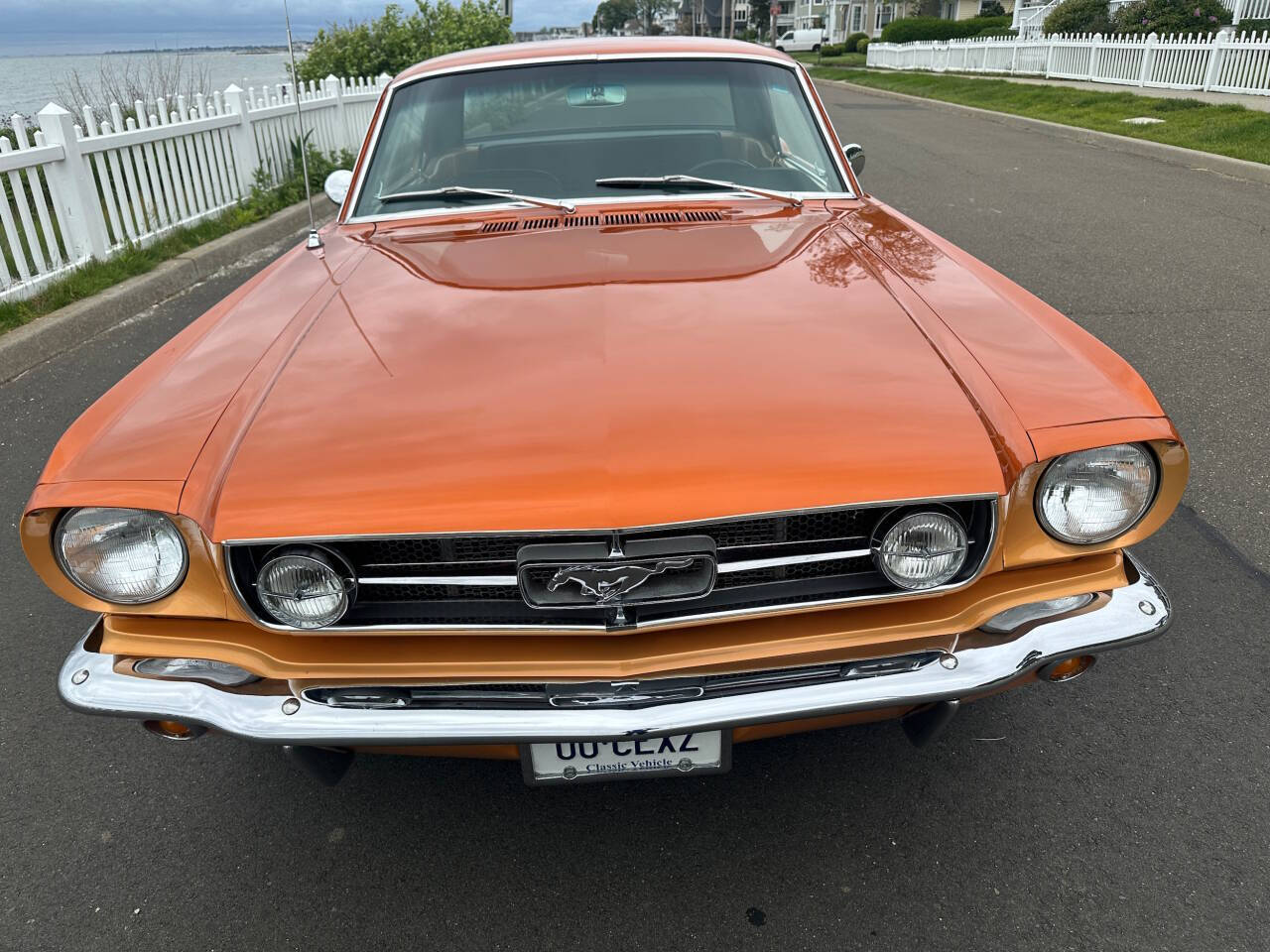 1965 Ford Mustang 14