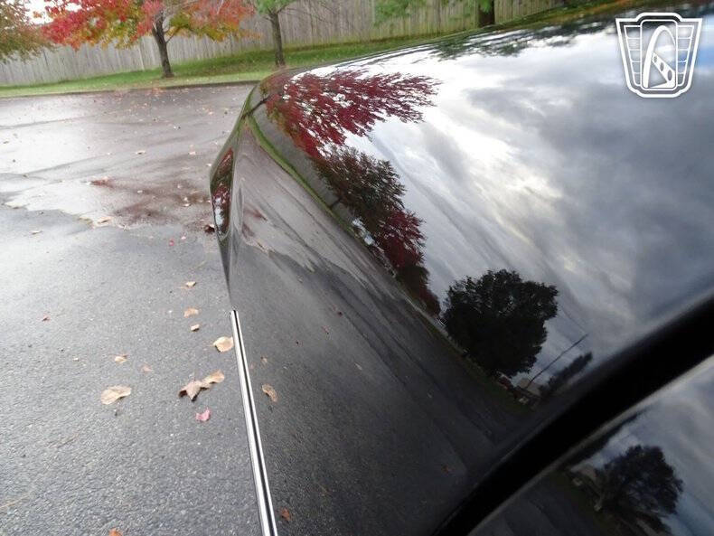 1981 Pontiac Firebird