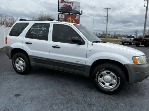 2007 Ford Escape for sale at Caps Cars Of Taylorville in Taylorville IL