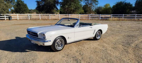1965 Ford Mustang for sale at Elite Cars Pro - Classic cars for export in Hollywood FL