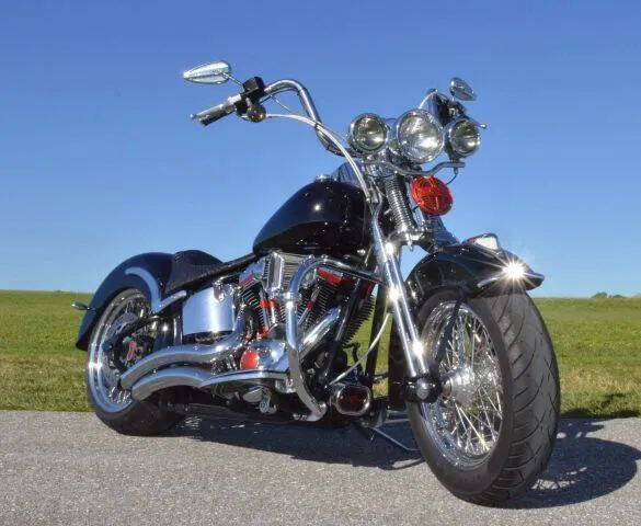 2002 Harley-Davidson FLSTS Heritage Springer