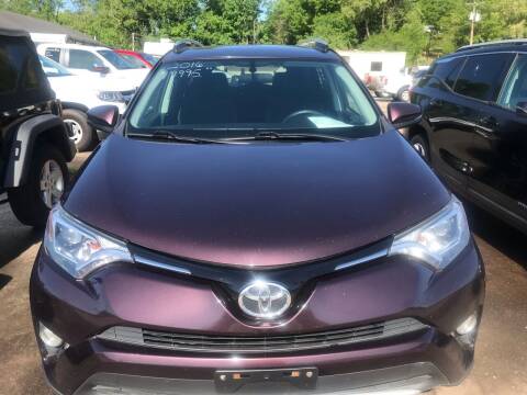 2016 Toyota RAV4 for sale at Mitchs Auto Sales in Franklin NC