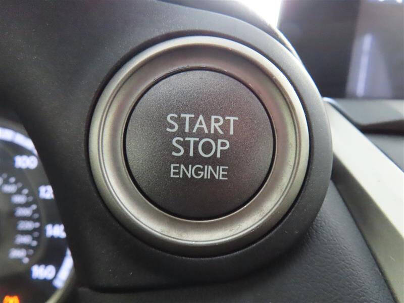 2019 Lexus NX 300 F SPORT