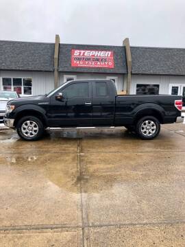 2013 Ford F-150 for sale at Stephen Motor Sales LLC in Caldwell OH