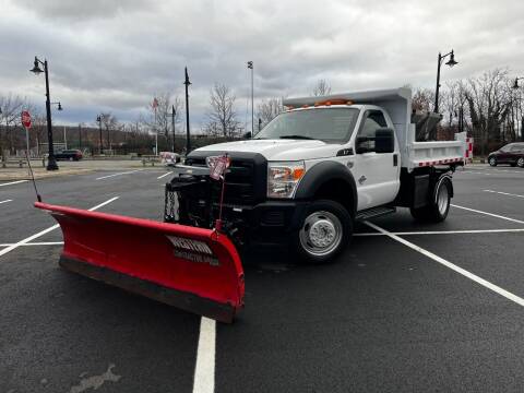 2011 Ford F-450 Super Duty for sale at CLIFTON COLFAX AUTO MALL in Clifton NJ