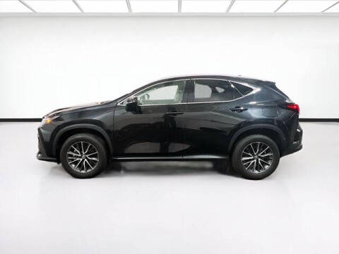 2024 Lexus NX 350