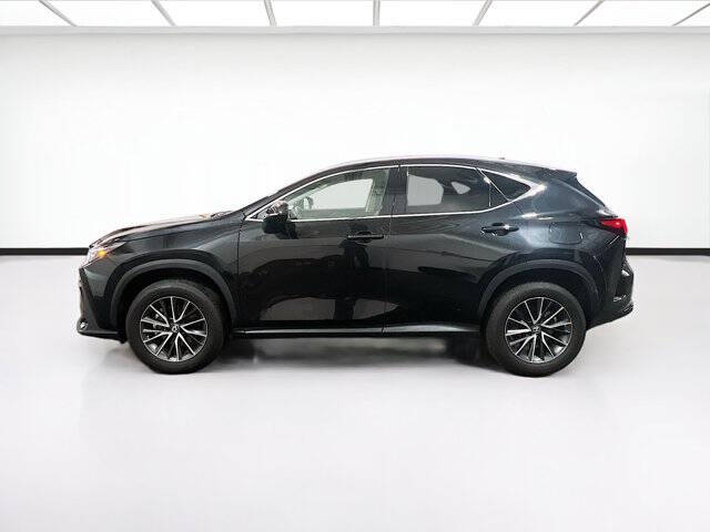 2024 Lexus NX 350
