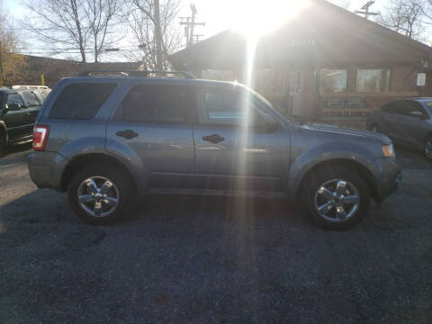 2011 Ford Escape XLT