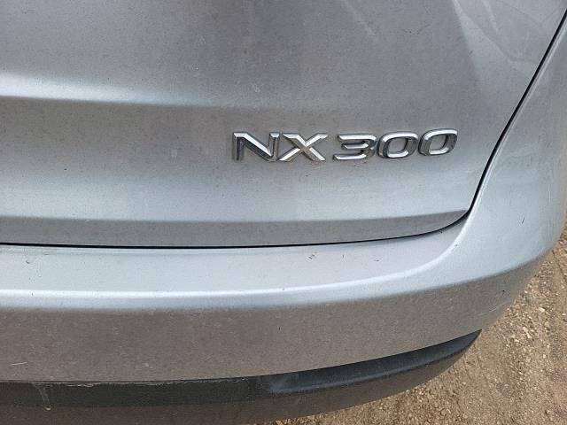 2019 Lexus NX 300