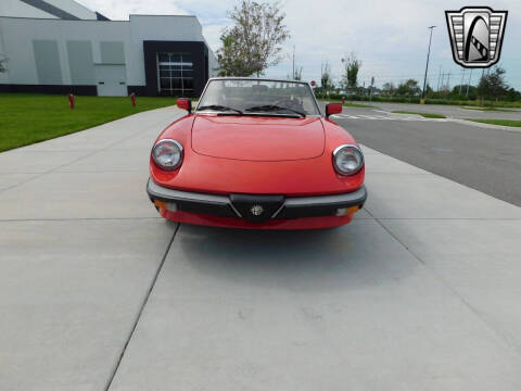 1984 Alfa Romeo Spider Veloce
