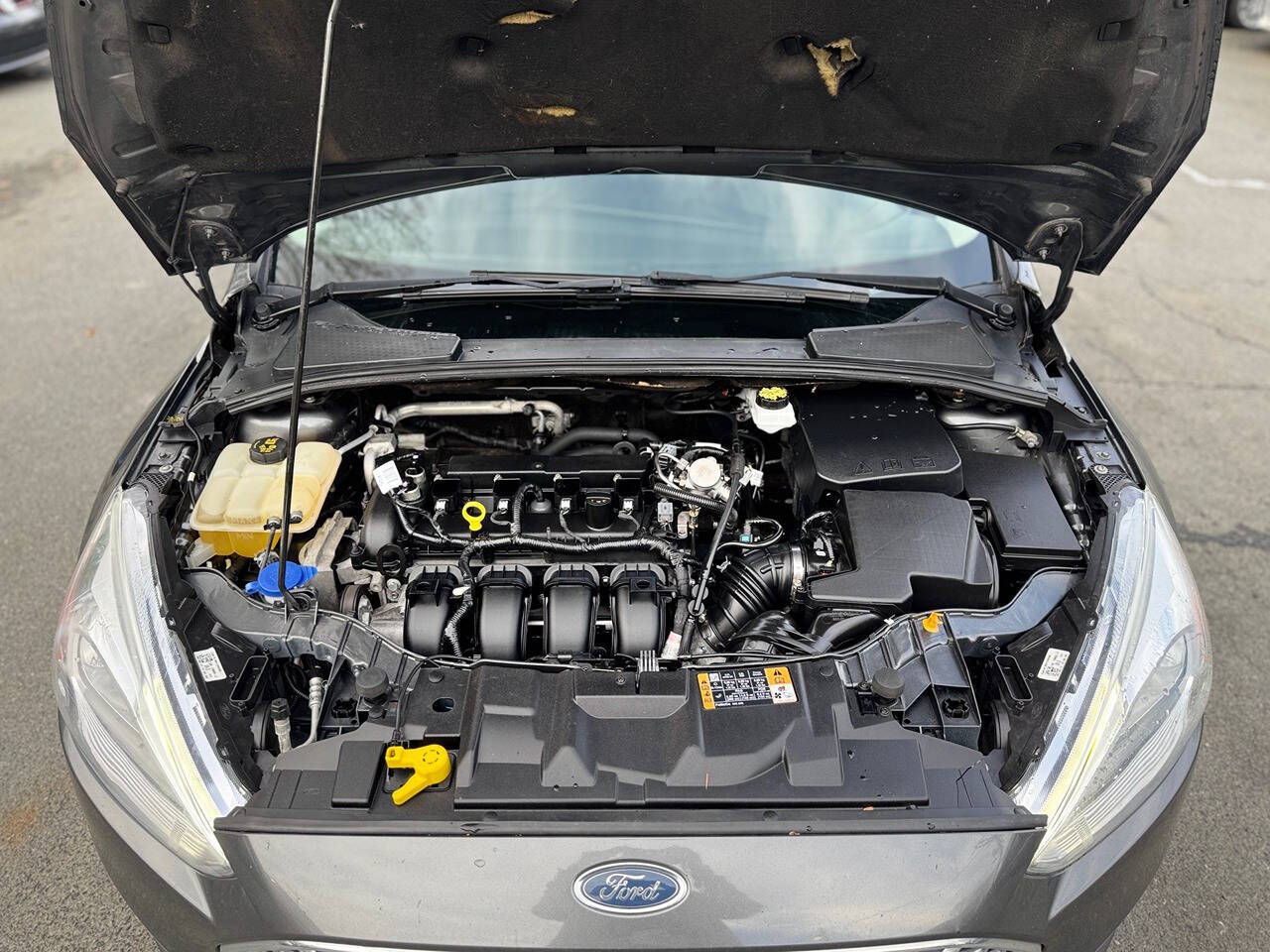 2018 Ford Focus for sale at Premium Spec Auto in Seattle, WA