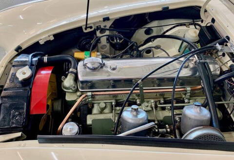 1964 Austin-Healey 3000