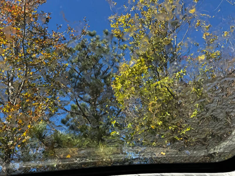 2013 Ford C-MAX Hybrid SEL