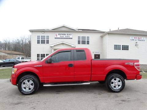 2010 Ford F-150 for sale at SOUTHERN SELECT AUTO SALES in Medina OH