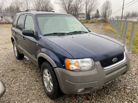 2002 Ford Escape for sale at HEDGES USED CARS in Carleton MI