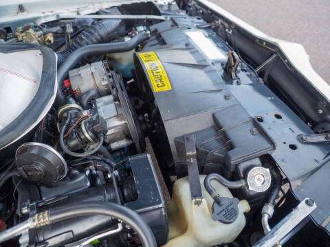 1981 Pontiac Firebird Trans Am