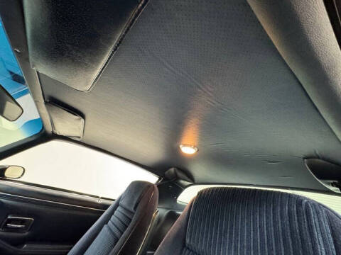 1981 Pontiac Firebird Trans Am