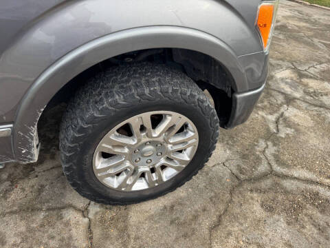 2010 Ford F-150 Platinum