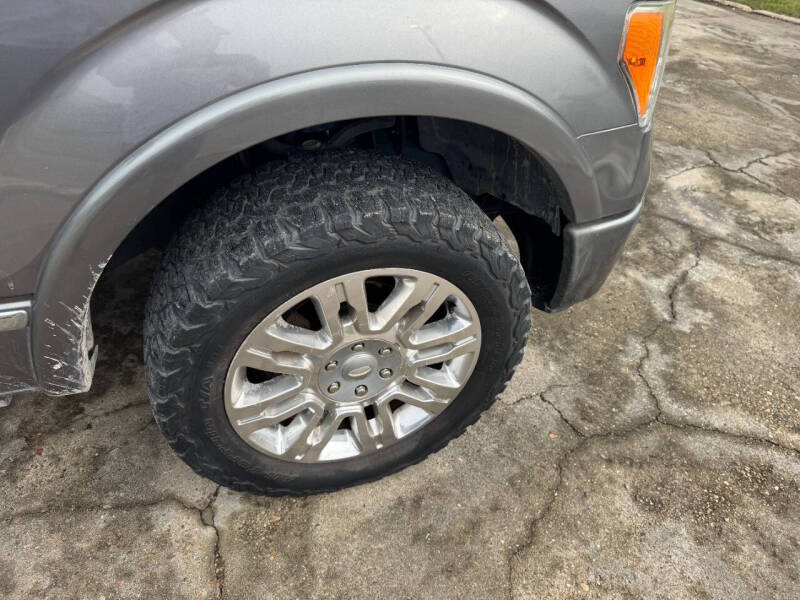 2010 Ford F-150 Platinum