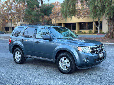2010 Ford Escape XLT