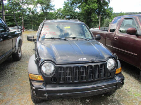 2006 Jeep Liberty for sale at FERNWOOD AUTO SALES in Nicholson PA