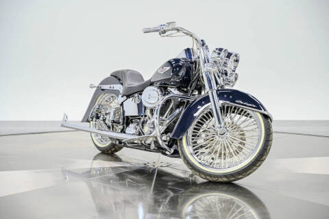 2009 Harley-Davidson FLTSN