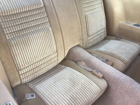 1981 Pontiac Firebird Trans Am