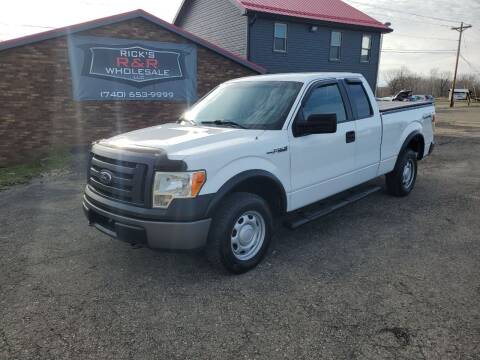 2010 Ford F-150 for sale at Rick's R & R Wholesale, LLC in Lancaster OH