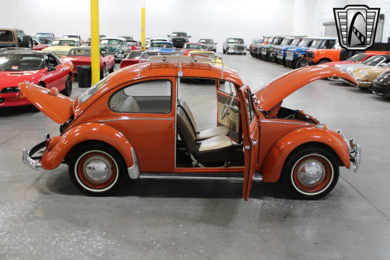 1965 Volkswagen Beetle