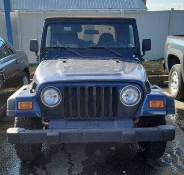 2001 Jeep Wrangler for sale at CASH CARS in Circleville OH