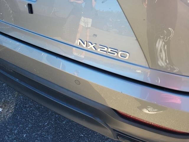 2024 Lexus NX 250 Premium