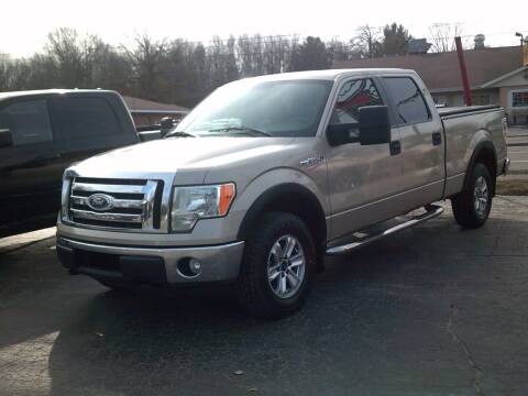 2010 Ford F-150 for sale at LAKESIDE MOTORS LLC in Houghton Lake MI