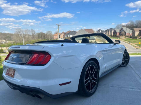 2019 Ford Mustang GT Premium