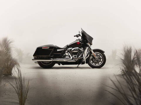 2020 Harley-Davidson Electra Glide Standard