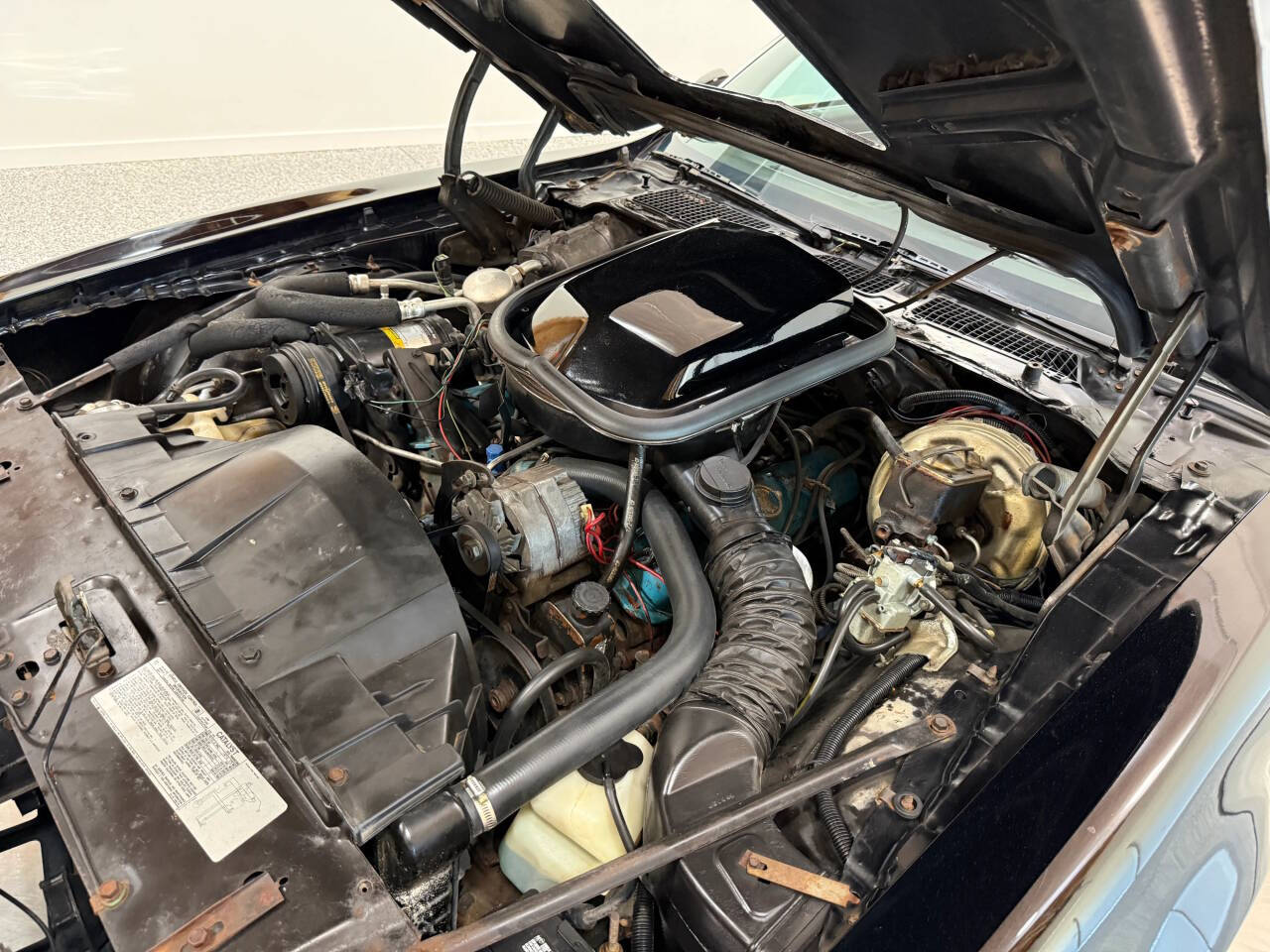 1978 Pontiac Trans Am 49