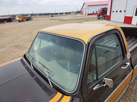 1976 GMC CK 1500 Series