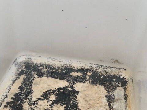 2005 Ford E-Series E-350 SD