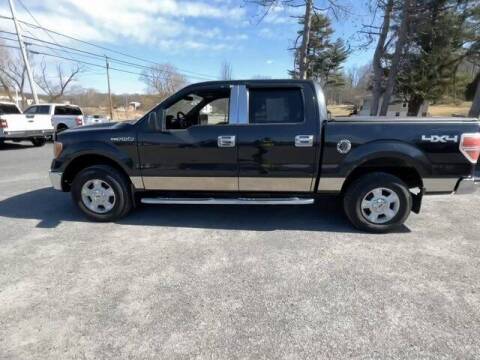 2014 Ford F-150 for sale at Sports & Luxury Auto in Blue Springs MO