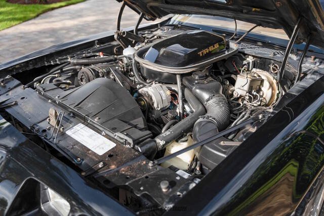 1979 Pontiac Firebird