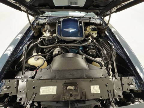 1981 Pontiac Firebird Trans Am