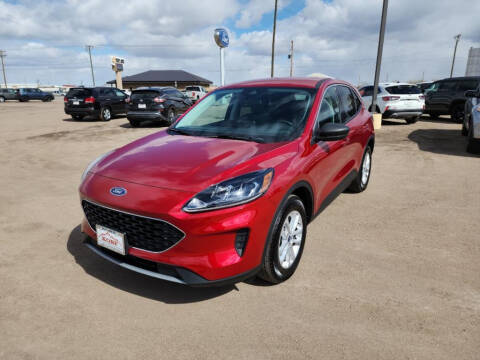 2022 Ford Escape for sale at Tony Peckham @ Korf Motors in Sterling CO