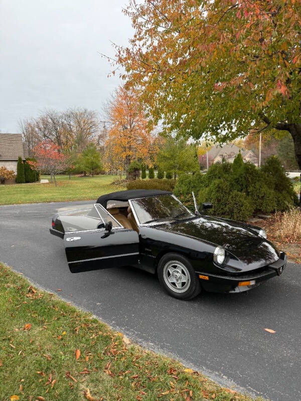 1988 Alfa Romeo Spider Graduate