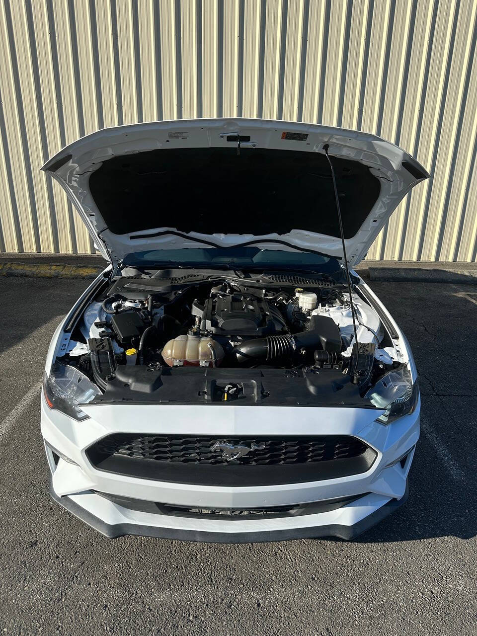 2018 Ford Mustang for sale at All Makes Auto LLC in Monroe, WA