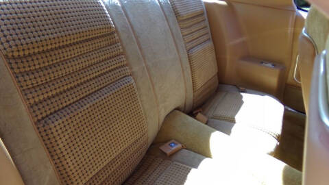 1980 Pontiac Firebird Trans Am