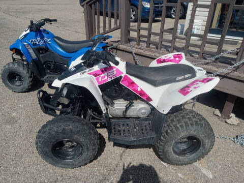 Can-Am DS 90 Image