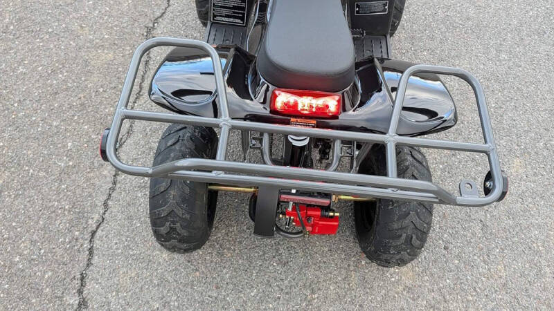 2025 TrailMaster Mini 110 Sport